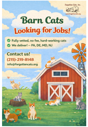 We Have Male and Female Barn Cats!, cat