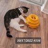 Jasper (FCID# 10/17/2022 - 116) SN food - Photo 3