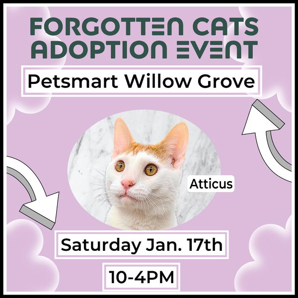 Willow Grove PetSmart Adoption Event 01/17/2026