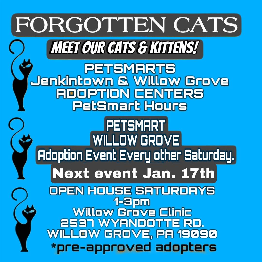 Willow Grove PetSmart Adoption Event 01/17/2026