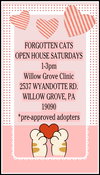 Willow Grove PS Adoption Event 4/25/26 - Photo 3