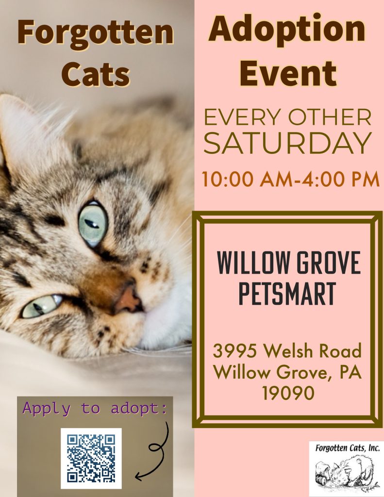 Willow Grove PS Adoption Event 4/11/26