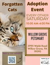 Willow Grove PS Adoption Event 4/25/26 - Photo 2
