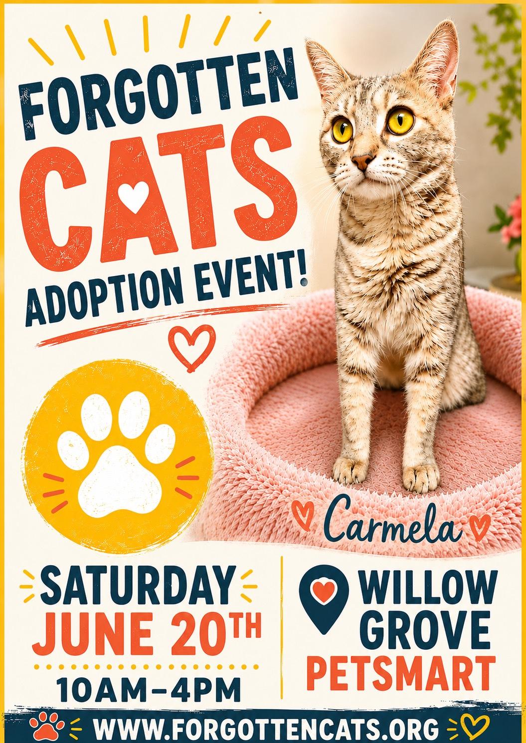 Willow Grove PS Adoption Event June 20 Image