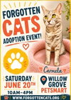 Willow Grove PS Adoption Event June 20 - Photo 1