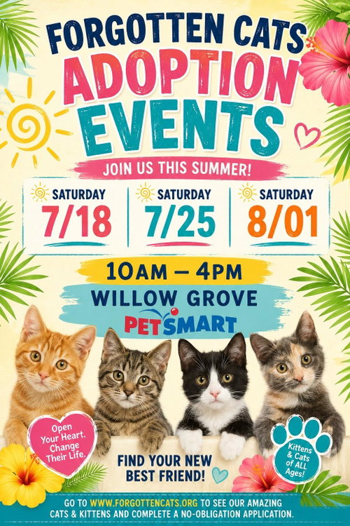 WILLOW GROVE PS ADOPTION EVENT AUG. 01