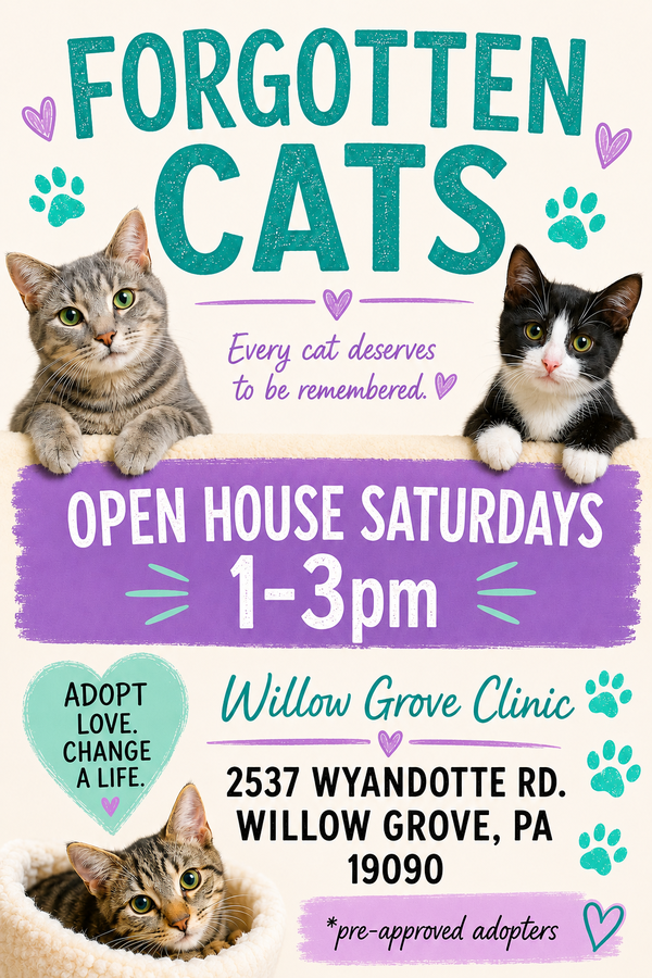 Willow Grove PS Adoption Events Aug. 15 and 29