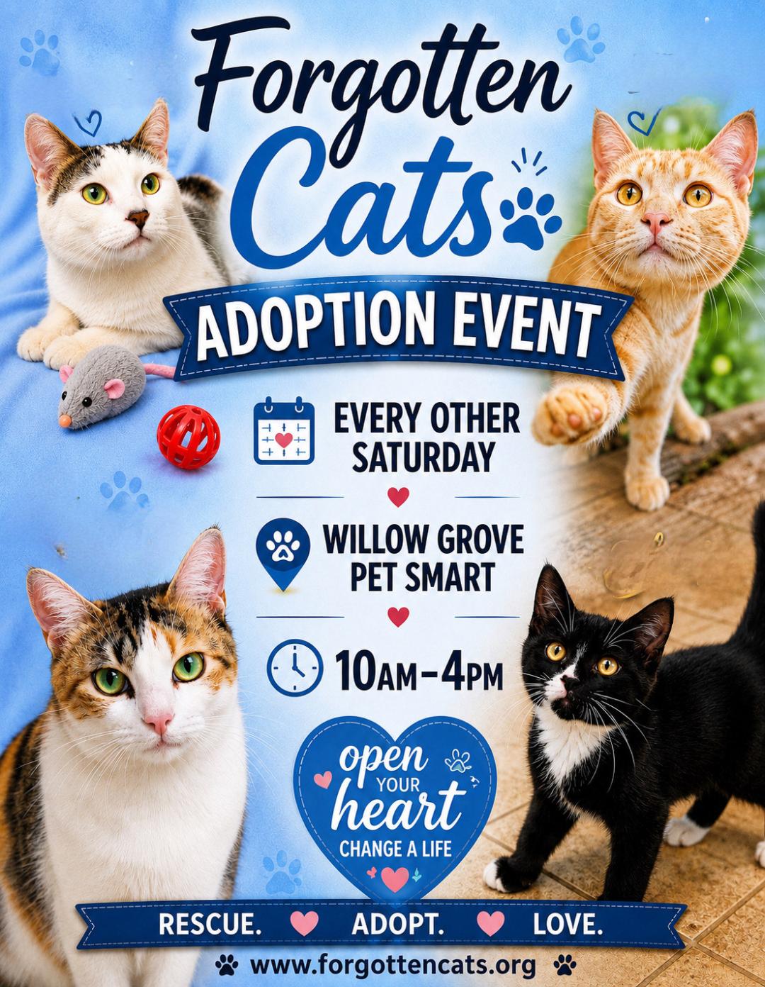 Willow Grove PS Adoption Event Nov. 7