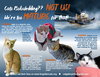 More Mature & Senior Cats (male & female) 4 pages - Photo 1