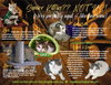 More Mature & Senior Cats (male & female) 2 flyers - Photo 2