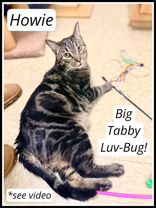 Big Boys:  11 pounds+, Part 1