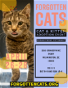 adoptable Cat in wilmington, DE named Brandywine PetSmart Adoption Event April 26-28
