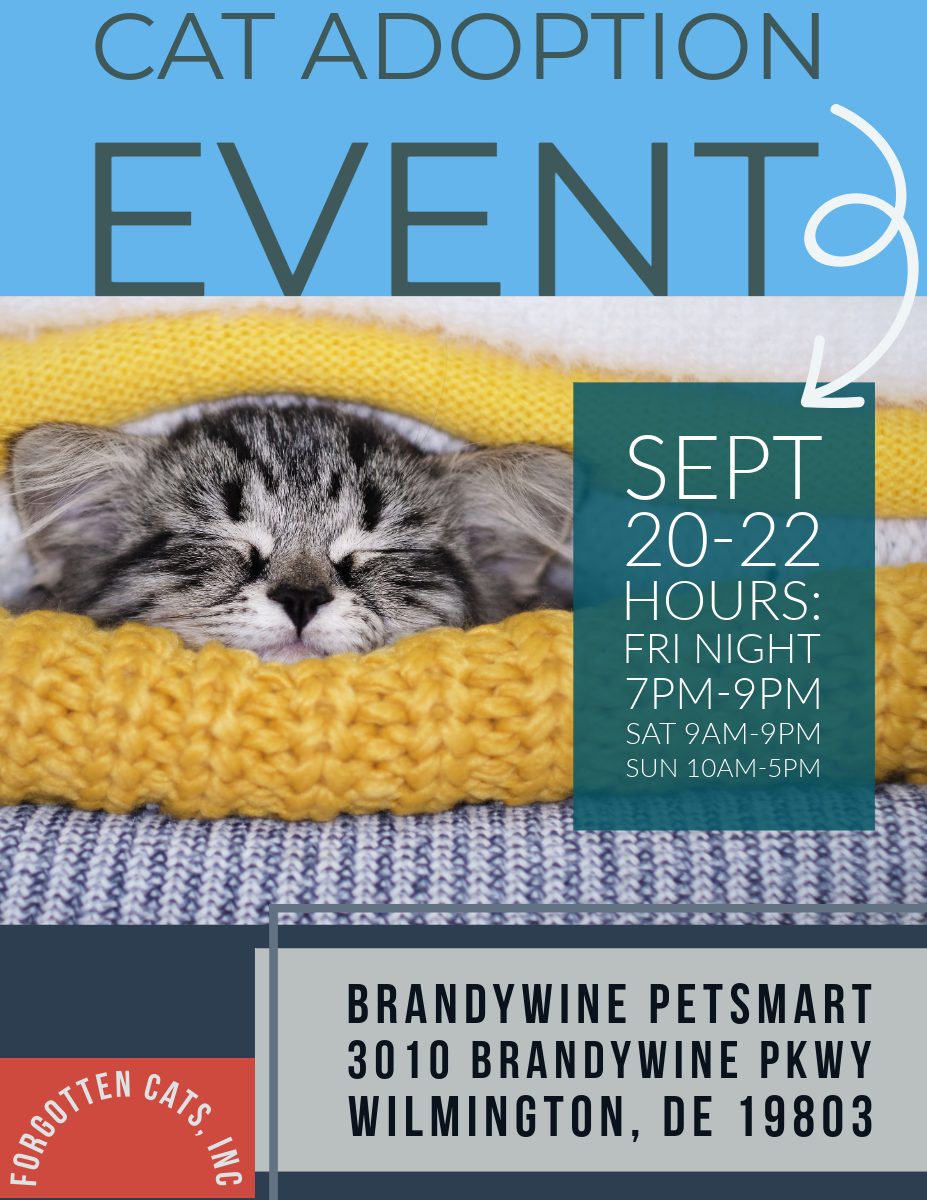 adoptable Cat in Wilmington, DE named Brandywine PetSmart Adoption Event Sept. 20 - 22