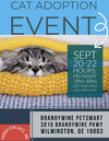 adoptable Cat in , DE named Brandywine PetSmart Adoption Event Sept. 20 - 22