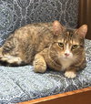Emma (FCID# 03/21/24 - 22) - Photo 5