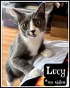 Lucy, Willow Grove Area (FCID 07/02/2024-148) C - Photo 1