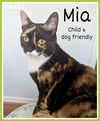 adoptable Cat in  named Mia (FCID# 08/26/2024 - 24) KD