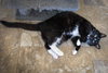 Mama/Momma (FCID# 11/13/2024 - 38) C - Photo 4