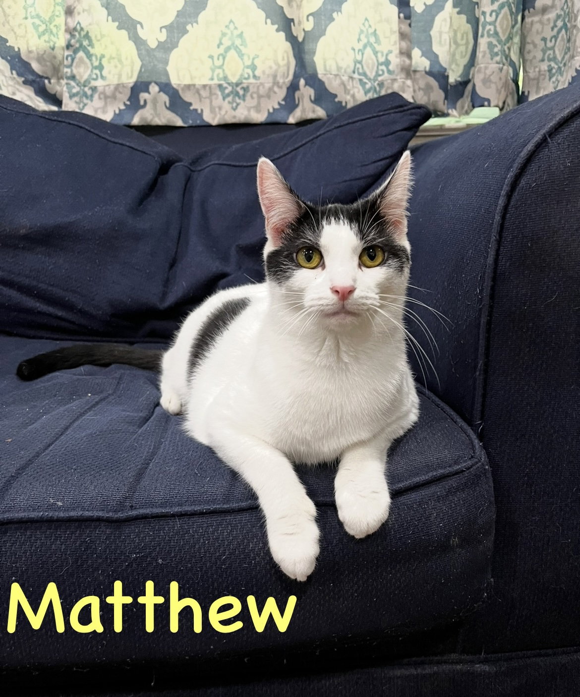 Matthew w/Mickey, Willow Grove (FCID 11/10/22-3)