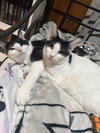Matthew w/Mickey, Willow Grove (FCID 11/10/22-3) - Photo 3