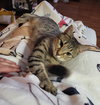 Marny (FCID# 06/24/2025 - 556) C - Photo 1