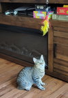 Marny (FCID# 06/24/2025 - 556) C - Photo 2