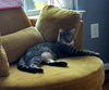 Marny (FCID# 06/24/2025 - 556) C - Photo 3