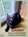 Danny, Willow Grove PA Area (FCID 06/09/2025-151) - Photo 1