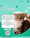Pippy FCID# 06/18/2025 - 2 Middletown PS) - Photo 4