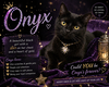 Onyx #1 (FCID# 08/06/2025 - 71 Trainer) C - Photo 2