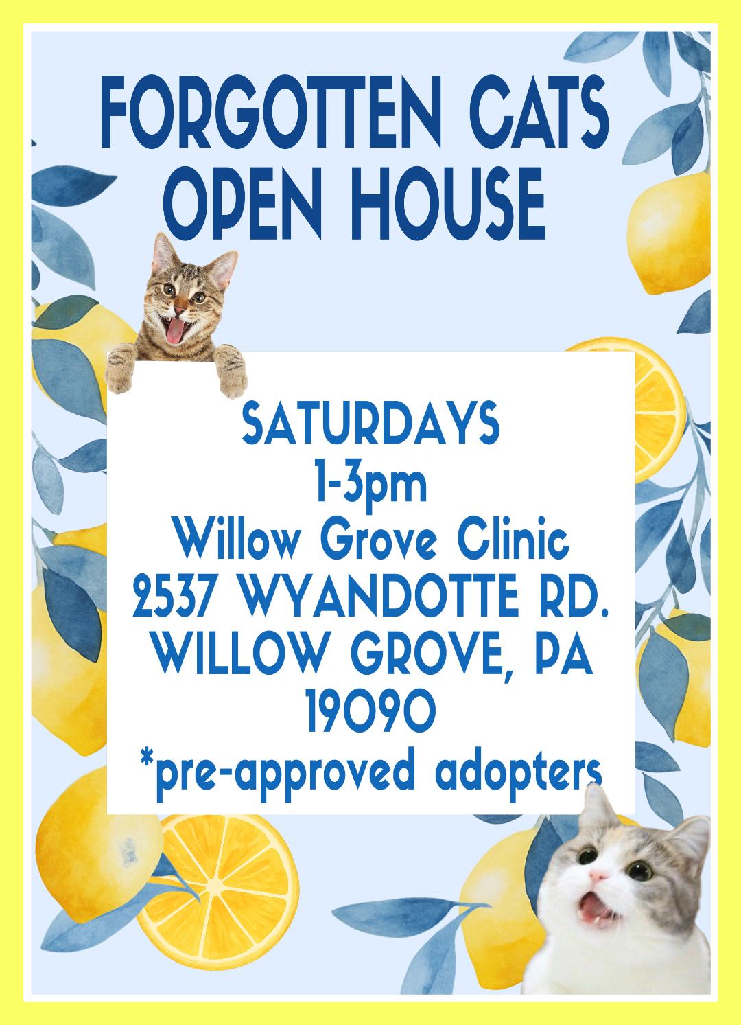 Willow Grove PA Clinic/Shelter Open House June 13