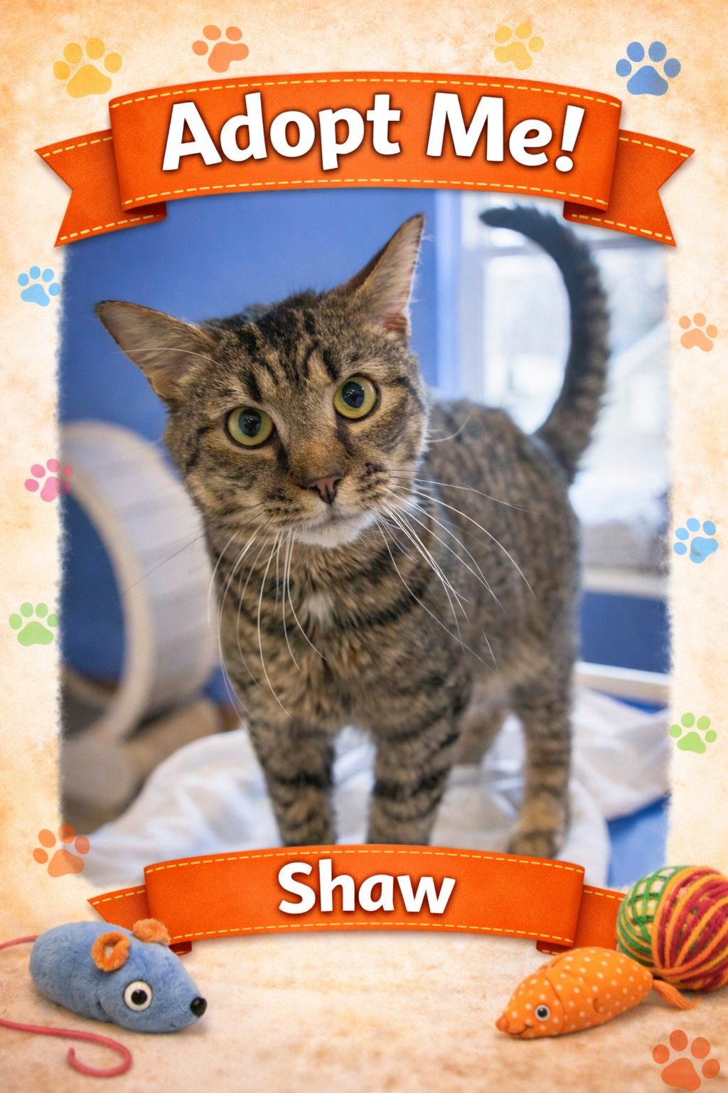 Shaw (FCID# 09/10/2025 - 3) Image