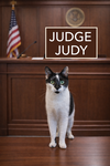 Judge Judy (FCID# 09/22/2025 - 68) - Photo 1