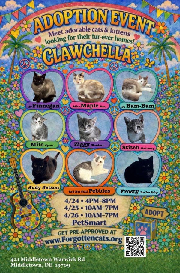 Middletown PetSmart's Cat Adoption Event 4/24-26
