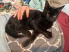 Melba w/Salem (FCID# 09/03/2025 - 7) - Photo 1