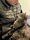 Hector (FCID# 11/10/2025 - 25) Brandywine Petsmart - Photo 4