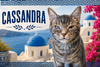 Cassandra (FCID# 11/13/2025 - 48 Brandywine PS) - Photo 1