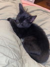 Char (FCID# 11/19/2025 - 81 Trainer) KC - Photo 3