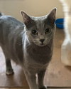 Otto (FCID# 07/28/2025 - 59) C - Photo 4