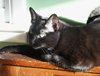 Wander, Willow Grove Area, (FCID# 07/11/2025-140) - Photo 1