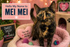 Mei Mei (FCID# 12/10/2025 - 32 Millsboro PS) - Photo 1