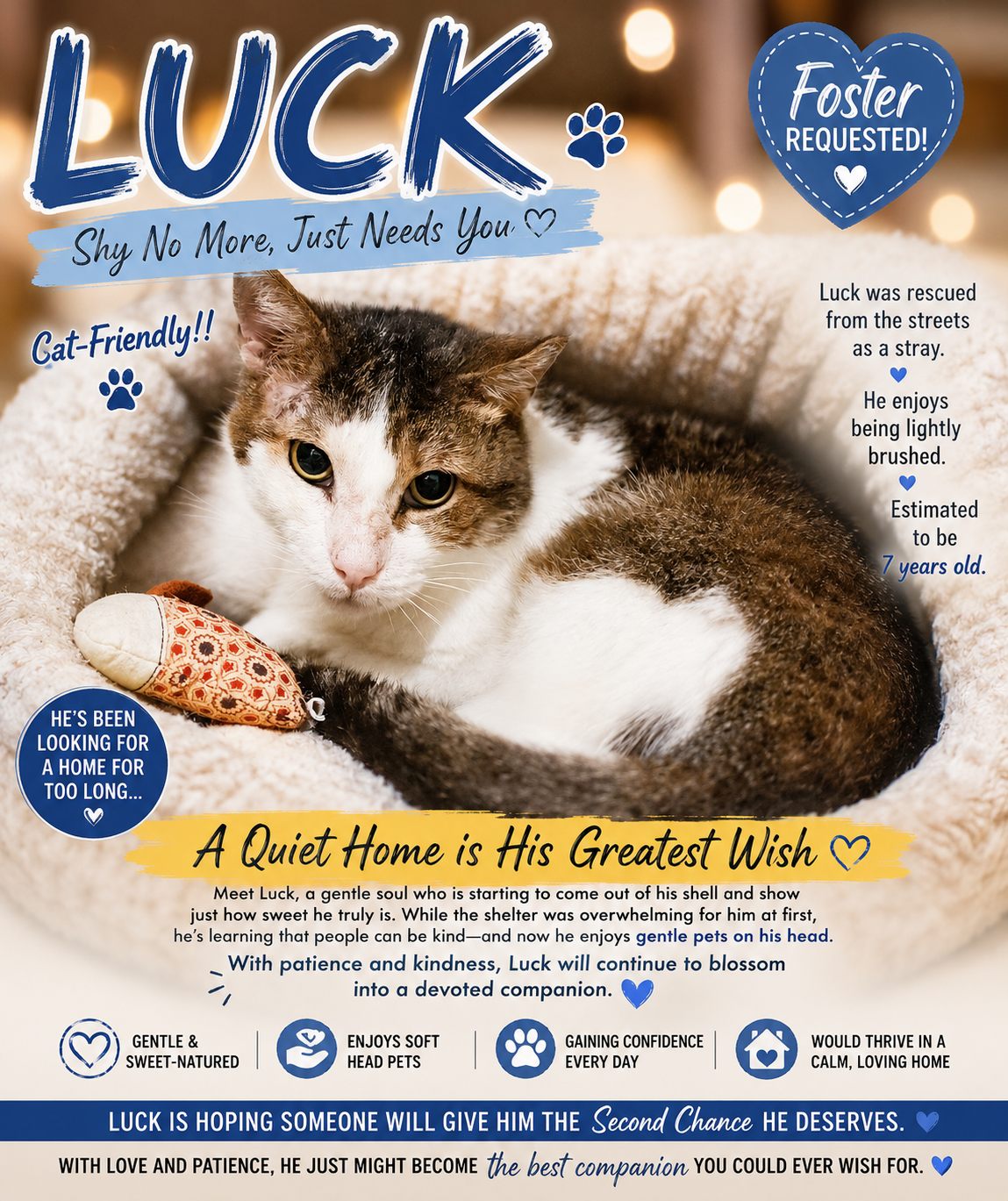Luck*:  Foster Requested (FCID# 12/02/2025-402) C Image