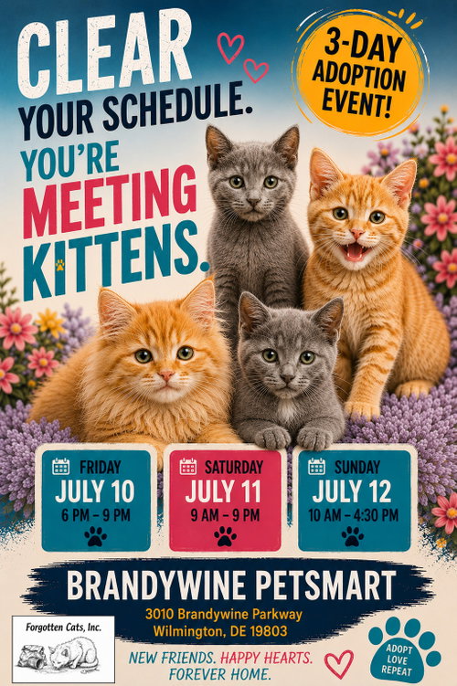 Brandywine Petsmart Cat Adoption Event July 10-12