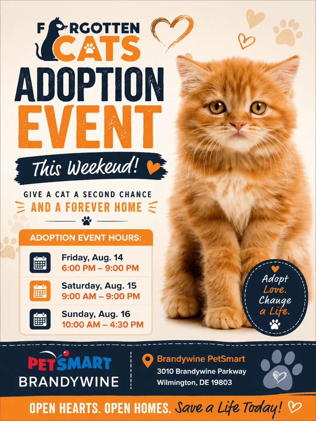 Brandywine Ps Cat Adoption Event August - - Domestic Short Hair