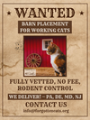 Bandit #1:  Barn Cat (FCID# 09/03/2025-64 Trainer) - Photo 4