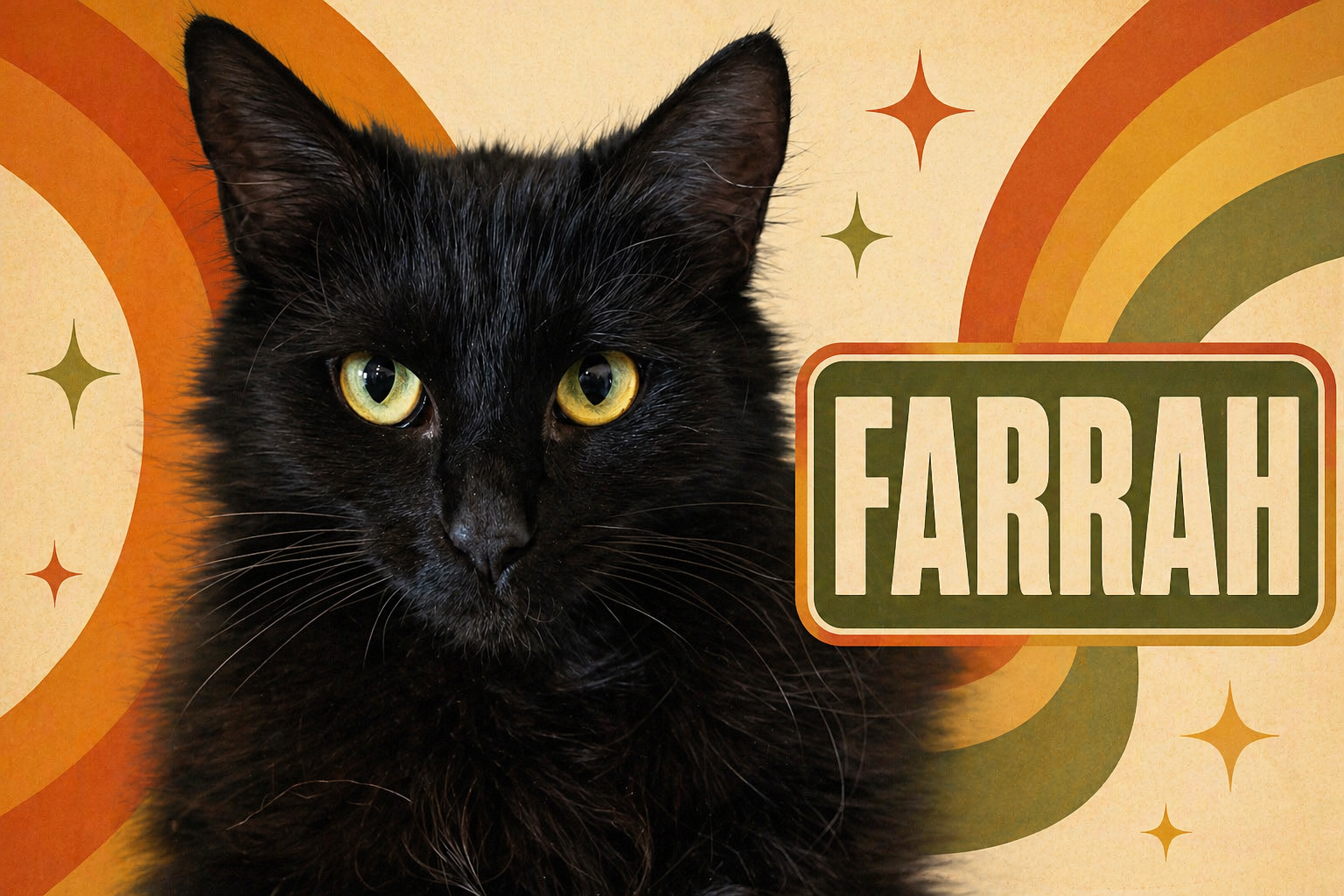 Farrah: DMH (FCID# 01/05/26-34 Trainer) SN food Image