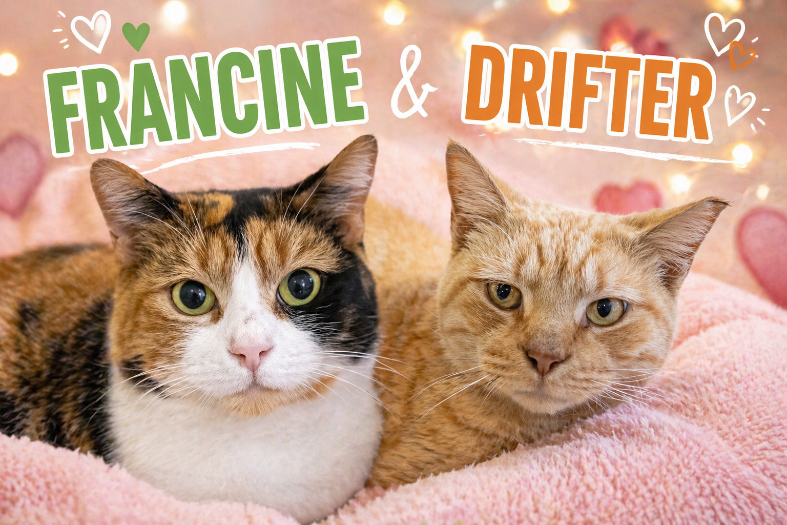 Francine w/Drifter (FCID 01/12/26-79 Brookhaven PS Image