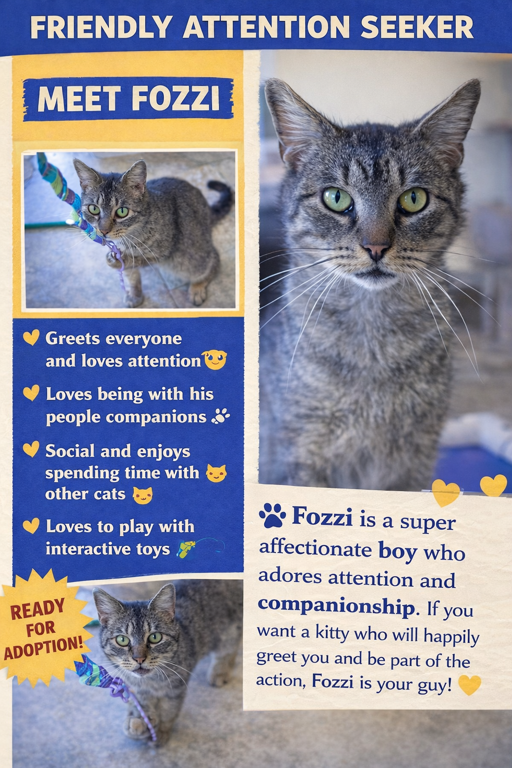 Fozzi (FCID# 01/19/2026 - 19 Trainer) C Image