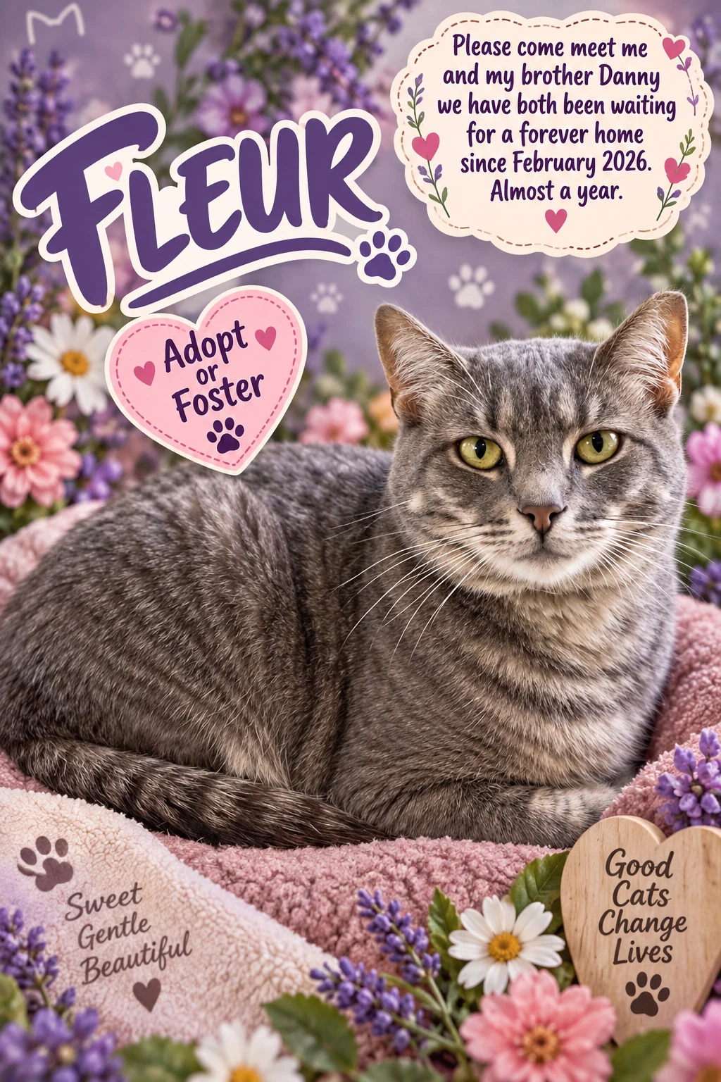 Fleur Fcid  -  Trainer C