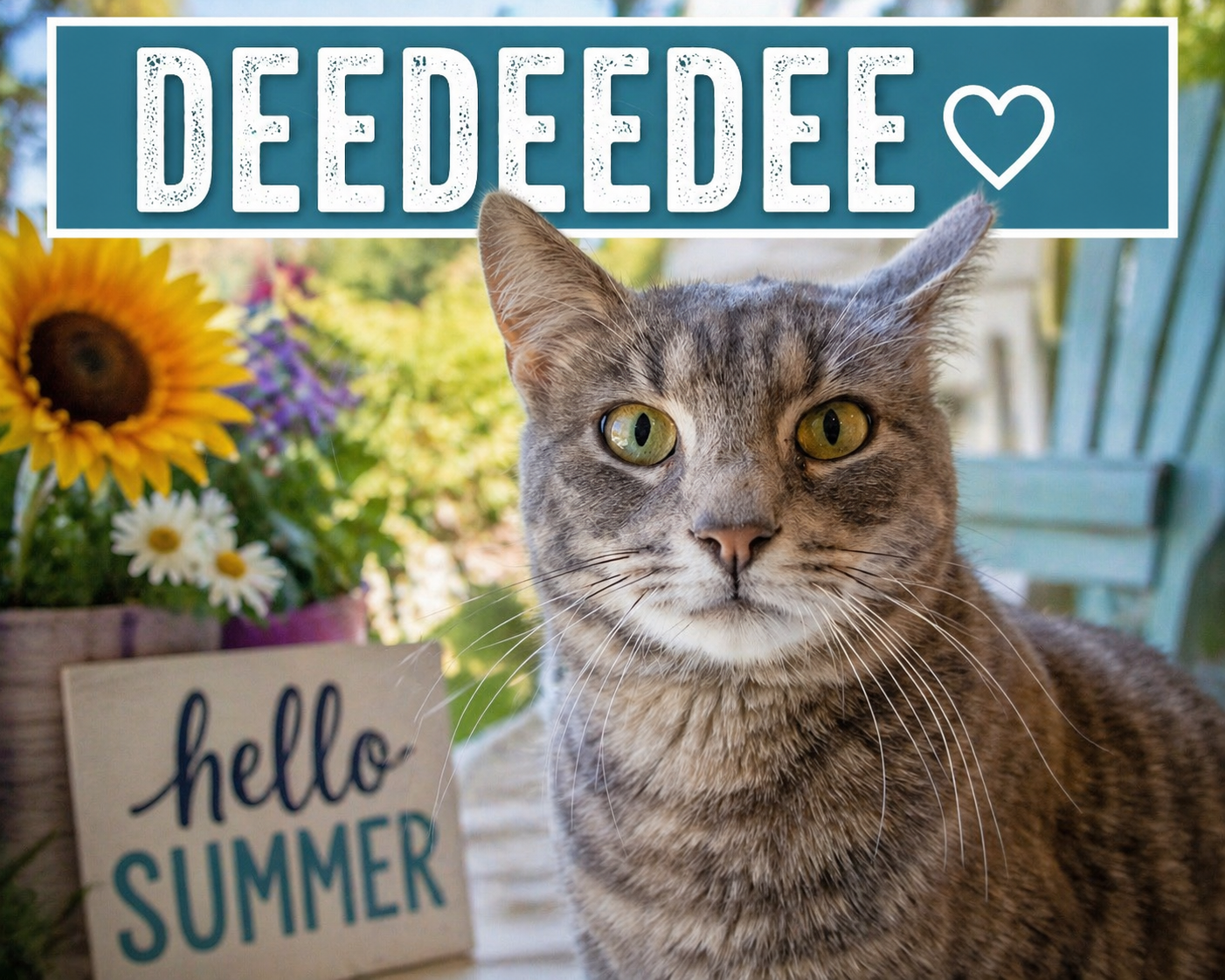 DeeDeeDee (m) (FCID# 02/05/2026 - 45 Trainer) C Image